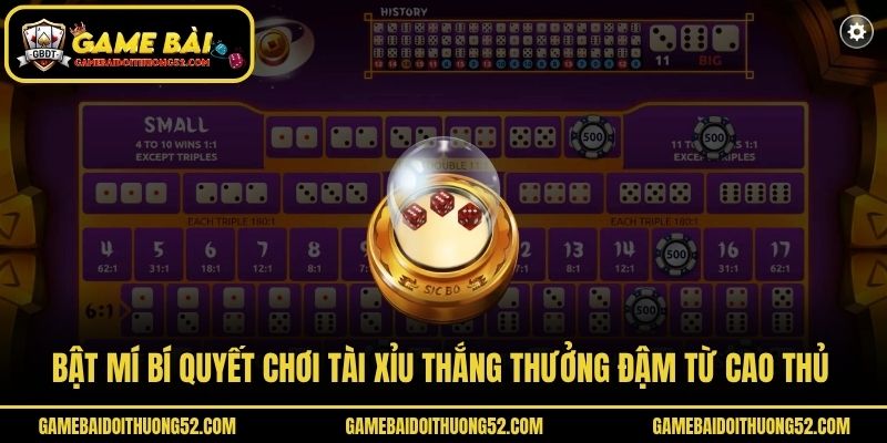 Bật mí bí quyết chơi Tài xỉu thắng thưởng đậm từ cao thủ 