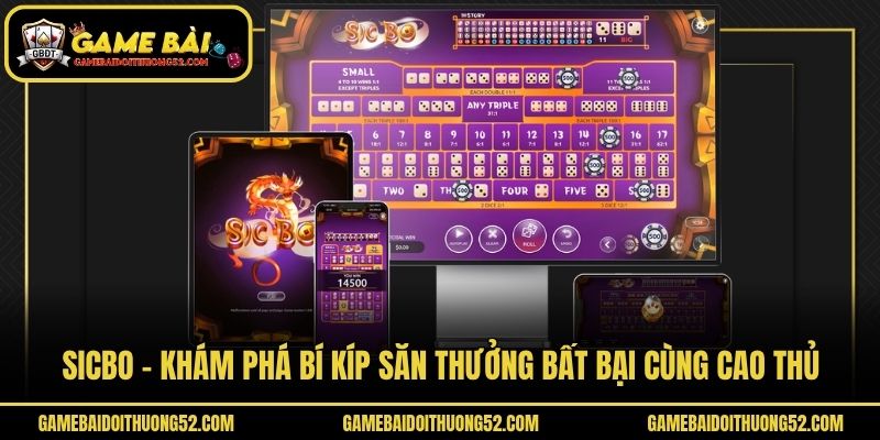 Sicbo - Khám Phá Bí Kíp Săn Thưởng Bất Bại Cùng Cao Thủ