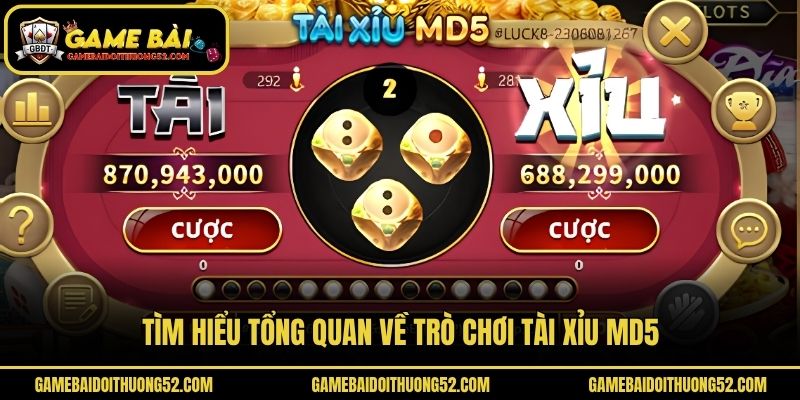 Tìm hiểu tổng quan về trò chơi tài xỉu MD5